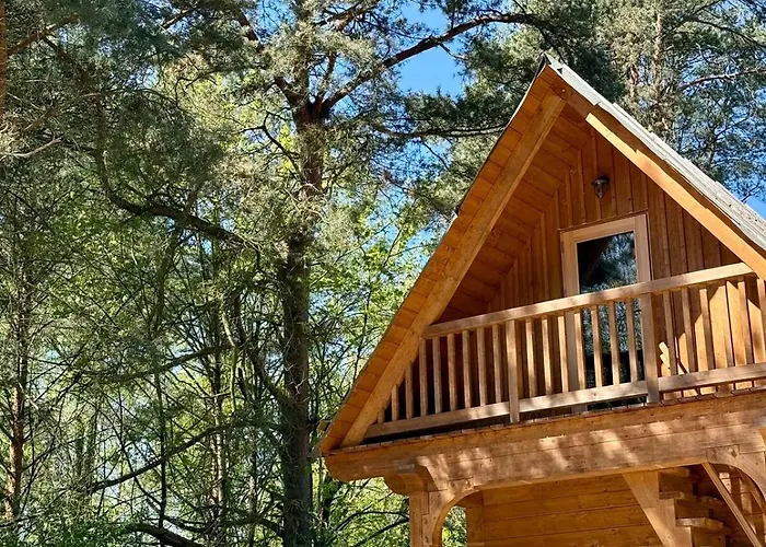 Struzka Kaszuby - Lesniczowka W Sercu Borow Tucholskich *