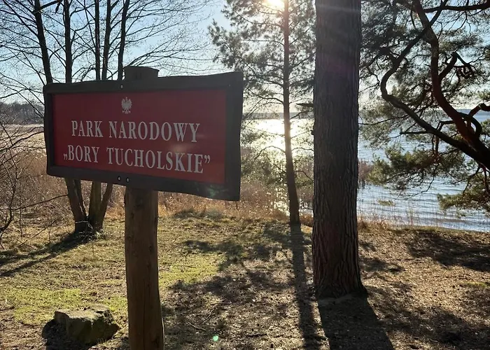 Struzka Kaszuby - Lesniczowka W Sercu Borow Tucholskich *