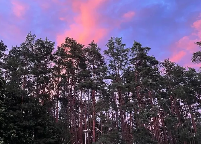 Struzka Kaszuby - Lesniczowka W Sercu Borow Tucholskich *
